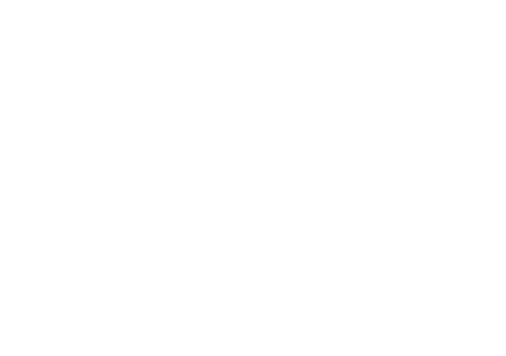Lext Consulting